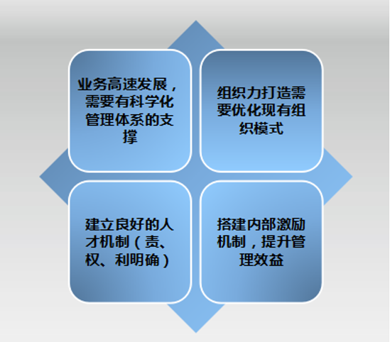 人力资源管理咨询项目-高新技术行业(图1)